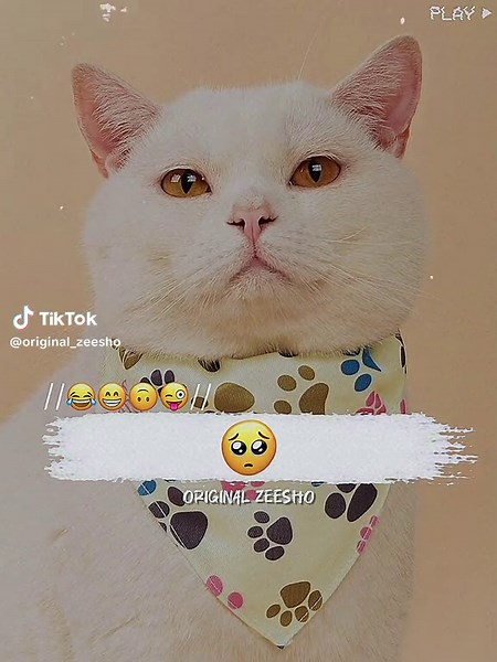 Hilarious Poetry Moments to Share with Friends