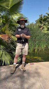 Join us this Saturday, October 19 from 8 a.m. - noon at Nature Fest PHX! In partnership with the City of Phoenix, the Zoo will be out at the Rio Salado Habitat Restoration Area teaching about urban wildlife conservation and community! We will have some friends with us, including Norris, the Colorado River toad. See you there! | Phoenix Zoo