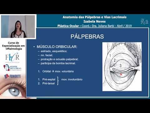 Anatomia das Pálpebras e Vias Lacrimais - Izabela Neves - Plástica Ocular