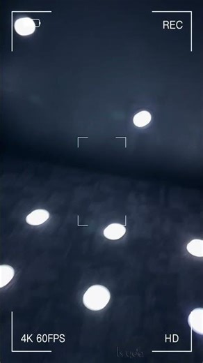 Octopus Challenge | Activate Game Interactive Game Room (Fast Reaction!)#TeamChallenge #ReactionGame