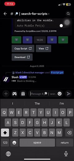 How To Use The Slash Bot