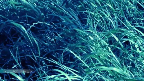 30 min intense music therapy for anxious people, stress relief music 2022