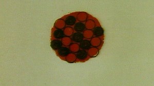 Video: Decay of half the atoms in a sample or half-life - Revise: Nuclear radiation: Video playlist - BBC Bitesize