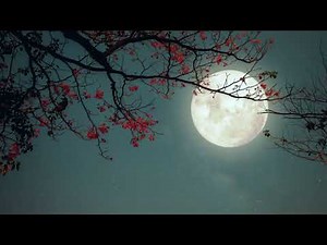 Immortality // Subliminal