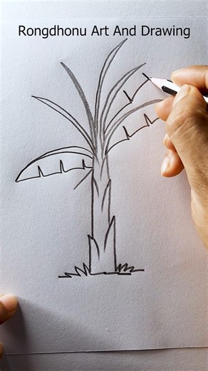 213K views · 1.6K reactions | Banana Tree Drawing From 1 #drawing #tree | Rongdhonu Art and Drawing | Facebook