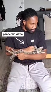 I love being able to check in on my kittens! I've been using Ebo to give them some play time and see what shenanigans they're up to 😂 I caught one of my foster kittens licking my water bottle instead of drinking water from his bowl (video is in my story). Pandemic pets are a thing! Have your pets become more attached? #sponsored @enabot.ebo #enabot #ebo #petcamera #pandemicbaby #pandemickitten #pandemicpet #cutecats #funntcats #catsofinstagram #cuteanimals #catdadlife | Fostering kittens