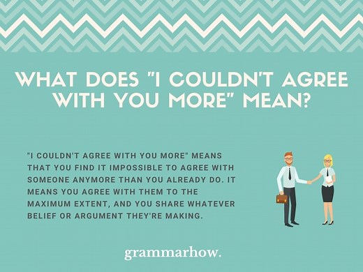 "I Couldn't Agree With You More": Meaning & Grammar (12 Examples)