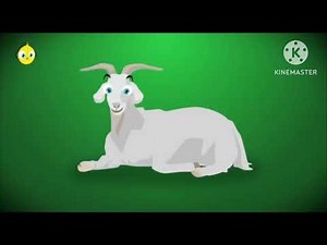 PULCINO PIO - Wefroukh Titiou Scotty Dance (Official)