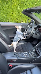 7.8K views · 19K reactions | It’s finally spring and you know what it...