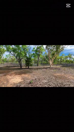 19K views · 146 reactions | Shady camp spots under the big green trees  Only 178m from the boat ramp + Roper River, right near the famous Roper Bar Crossing. ⛺ Bush camping just $10 per person, per night — perfect base for the fishos and adventure crews Don’t want to risk getting wet? Motel rooms from $155/night  Roper Bar Park & Store | Roper Bar Park & Store | Facebook