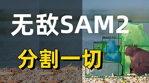 别再死磕SAM了！SAM2论文代码完整版解读，从环境配置到本地部署、微调、推理一条龙解读！草履虫都能学会！