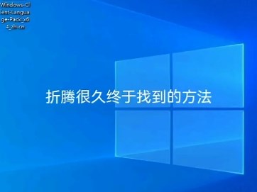 【Win10精简版 Tiny10 23H1完美汉化】安装离线中文语言包｜解决安装语言包报错｜系统界面汉化不完整