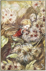 Inviting Faeries Into Your Life