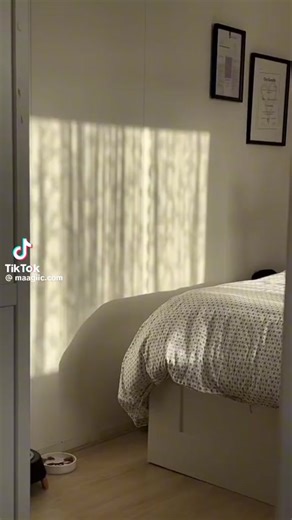 The Australian Bee Gees Show on TikTok