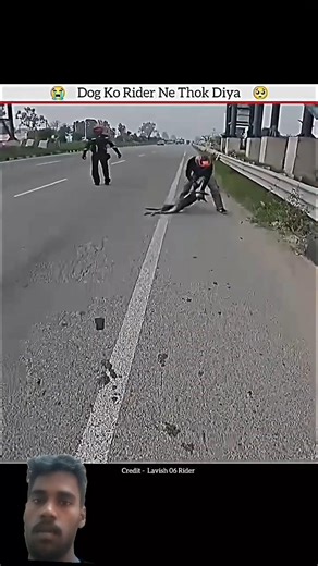 Dog ko rider me thok diya #automobile #respect #dogshorts #riderlife #rescue #bikestunt