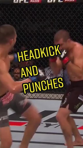 UFC FN 55: Louis Smolka vs Richie Vaculik Highlights