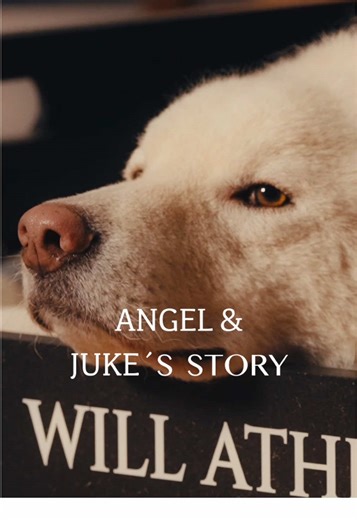 Rescue Journey of Angel and Juke: Transforming Lives