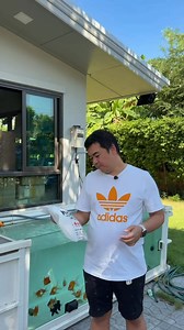 🎉 สินค้าใหม่เข้าแล้ว! MBio Magic Filtration Carpet / Bag ถุงใยกรองพรีเมียม ดักตะกอนดีเยี่ยม น้ำใสไวกว่าเดิม ล้างใช้ซ้ำได้ ประหยัด คุ้มค่า เหมาะกับทุกระบบกรอง 💸 ราคาเพียง 65 บาทเท่านั้น! ของดีราคาเบา ๆ แบบนี้ บอกเลยว่าคุ้มมากครับ น้ำใสขึ้น เห็นผลจริง ใช้งานง่ายสุด ๆ สนใจทักได้เลยครับ ของเข้ามาใหม่พร้อมส่ง! 🐠✨ | Thai Aquarium Center