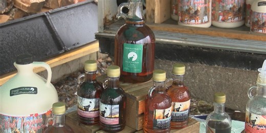 Local maple syrup producer holding tours and taste-testing for ‘Mountain States Maple Days’