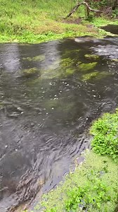 16K views · 421 reactions | Merri River, Warrnambool, after some rains this week. Tim Vincent | Victorian Creeks and Rivers; Friends of Deep Creek | Facebook