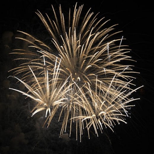 2.6K views · 102 reactions | World's Biggest Firework Bombs!🤯💥 #fireworks #firework #feuerwerk #fuegosartificiales #fireworkshow #4thofjuly #fireworkshell #pyro #pyrography #fyp #foryou #pyro4life | CharlesPyro Fireworks | Facebook