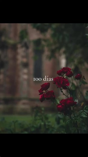 Historias de Boleros: Quizás, Quizás, Quizás