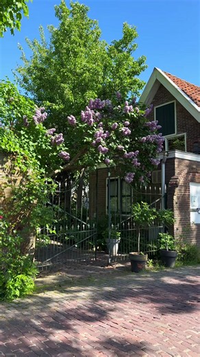 3 Amsterdam spots I would recommend to everyone