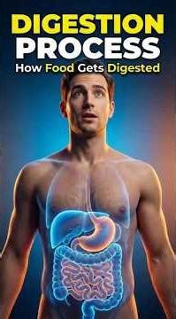 What Happens After You Eat? | The Complete Digestion Process Explained #DigestionProcess