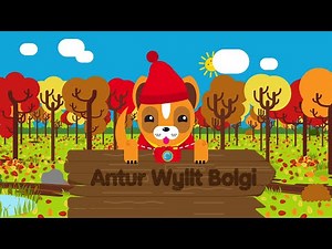 Stori Antur Wyllt Bolgi (Welsh story - Bolgi's Wild Adventure) | Cyw | S4C