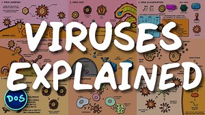 Everything You Need To Know About Viruses: A Quick Visual Explanation of Viruses in 9 Images