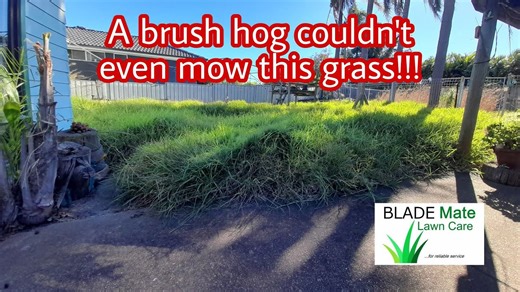 Back at It! Yard Clean Up for the Ages Part 2!