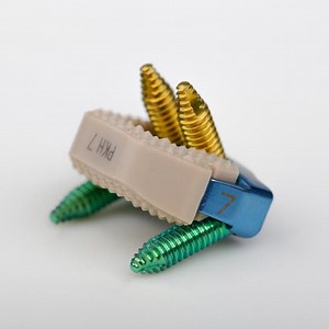 [Hot Item] Spine Cervical Cage with Plate and Screw Peek Cage Orthopedic Implants