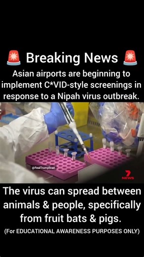 Trumplicans on Instagram: "(For EDUCATIONAL AWARENESS PURPOSES ONLY) Asian airports are beginning to implement C*VID-style screenings in response to a Nipah virus outbreak. The virus can spread between animals and people, specifically from fruit bats and pigs. The countries currently implementing the screenings include Thailand, Singapore, Hong Kong, Malaysia, Indonesia, Vietnam, and Pakistan, according to Reuters. The virus was first detected in West Bengal, India. The death rate from the Nipah