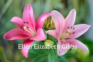 Beth Gibbs Funeral 13-10-2025