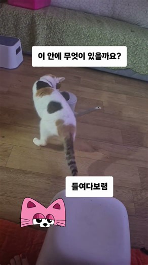 #♡어디에 쓰는 물건 인가요?♡#