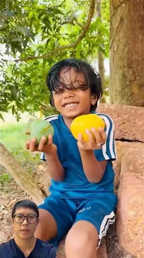 Những đứa nhóc rủ nhau đi trộm xoài #shorts