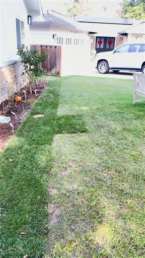 Get Pro Landscaping | San Jose on Instagram: "🌱 Grass Maintenance — The Truth Is in the Blades In this Short, I show you exactly what happens when grass is neglected vs. properly maintained. I installed a fresh strip of sod next to old, low-mow turf — and the difference is wild. The new grass is thick, vibrant, and full of life. The old section? Sparse, tired, and struggling. But here’s the good news: you can bring your lawn back to life — no fertilizer, no chemicals. Just organic matter, prope