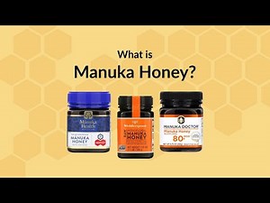 Manuka Honey and its Benefits | iHerb
