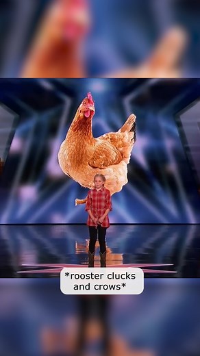 240K views · 1.6K reactions | The sweetest contestant on AGT EVER! #agt #impressions #farmlife | Talent Recap | Facebook