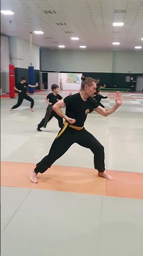 Xiao Hong Quan: The Fist That Guards Shaolin’s History ⛩️✊
