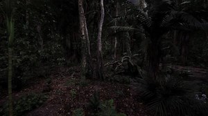 Nighttime exploration of a dense forest environment in twilight hours