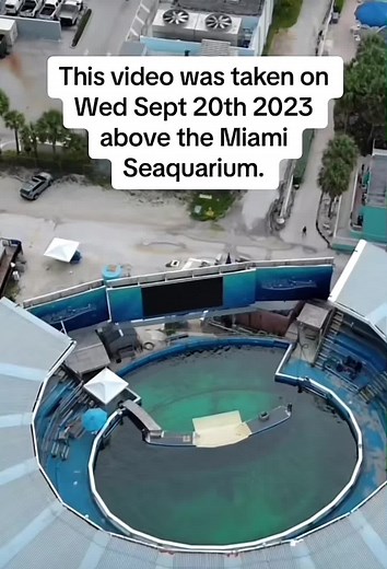 Li'i is a Pacific white-sided dolphin that has been abandoned at the Miami Seaquarium. He lives in a condemned pool, alone. 😭🐬 Please share this video and follow @pirate and see orignsl video with phone call. #fyp #fypシ #foryou #foryoupage #save #savethedolphins #dolphin #dolphins #help #sad #depressedtiktok #depressed #mentalhealthmatters #for all #creatures #love #compassion #heartbroken