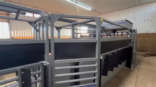 19K views · 94 reactions | Achieve a safer, calmer and quieter cattle handling experience with Moly Manufacturing Livestock Equipment #ranchlife #ranching #feedlot #cattlefarming #cattlefarm | Moly Manufacturing Livestock Equipment | Facebook