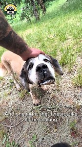 Lillie's story is a miracle ❤️ | The Asher House