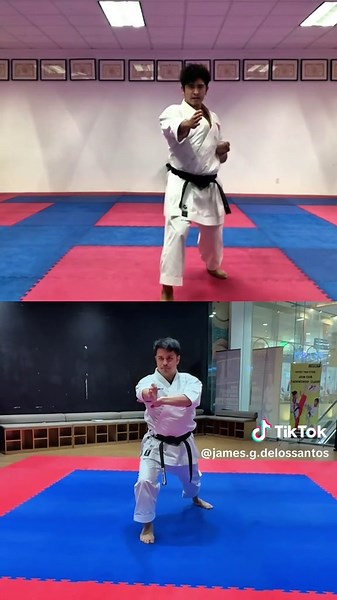 Heian Nidan Karate Kata Comparison with Gakuji Tozaki