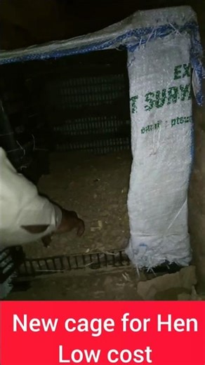 How to Build a Cheap & Easy Hen🐦 Cage🏠 at Home | DIY Chicken Coop for Beginners