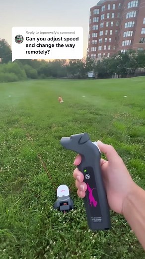 Interactive Capture the Flag Dog Toy with Wireless Remote Controller