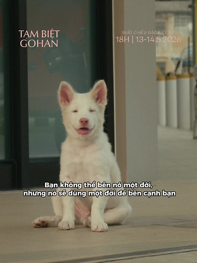 Tạm biệt Gohan: bạn không thể bên nó cả đời nhưng nó bên bạn một đời