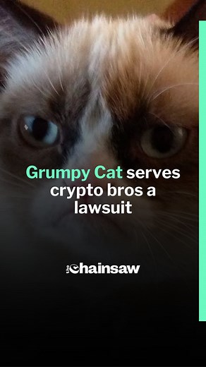 Grumpy Cat, the internet’s most beloved cat celebrity cat, became the latest target of some opportunistic crypto bros. #cats #celebrity #reels | The Chainsaw