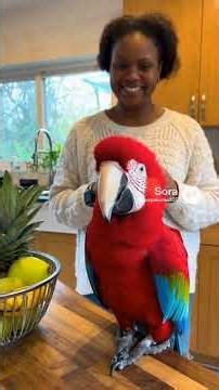 Parrots can imitate sounds and human speech